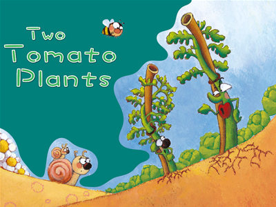 Two Tomato Plants